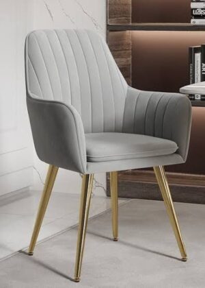Kraftiq Premium Chair (C-04)